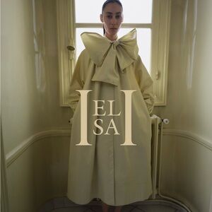 HELSA NWOT Upper Westside Trench Dress